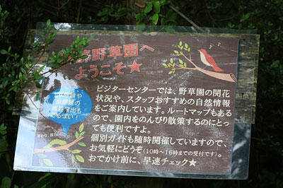 c0152779_1694561.jpg