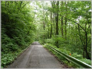 d0082980_1125845.jpg