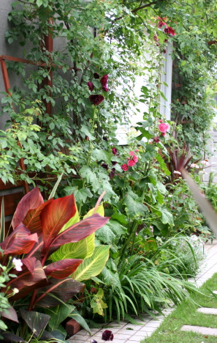 e0154682_2245817.jpg