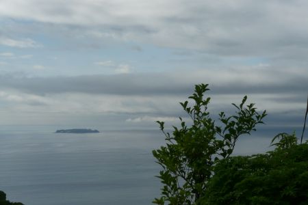 2010年6月30日 いつもの通り_b0098584_10351494.jpg