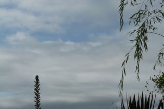 2010年6月30日 いつもの通り_b0098584_10354794.jpg