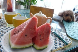2010年6月30日 いつもの通り_b0098584_1038681.jpg