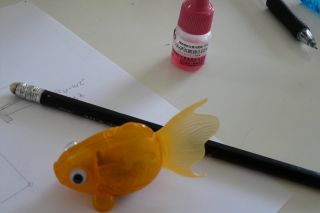 2010年6月30日 いつもの通り_b0098584_10432750.jpg