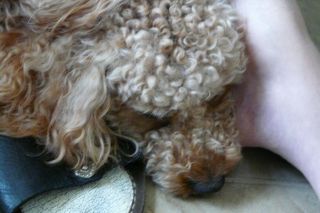 2010年6月30日 いつもの通り_b0098584_10442996.jpg