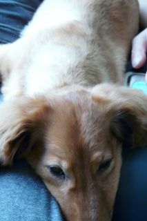 2010年6月30日 いつもの通り_b0098584_1044816.jpg