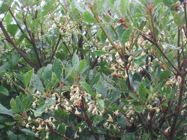 b0182884_20691.jpg
