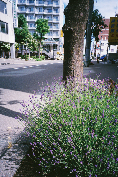 e0051186_2047095.jpg