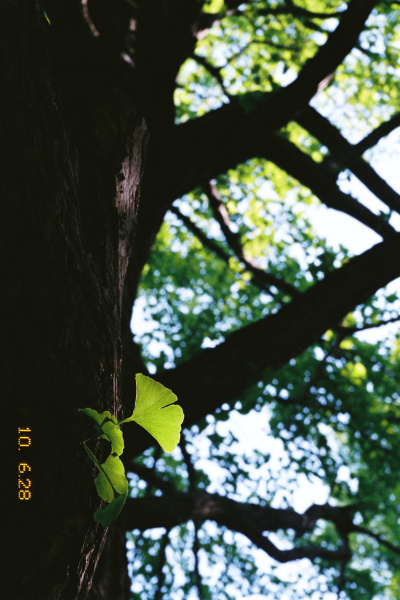 e0051186_20471848.jpg