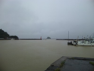 大雨が降りました　(100629)_b0022188_14275628.jpg