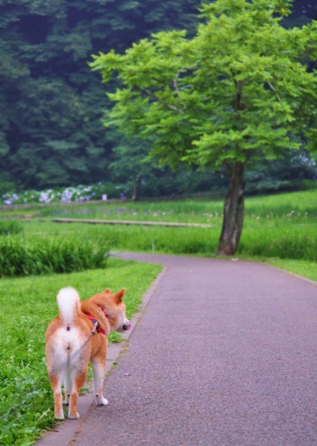 当たり前の日常が幸せ_a0126590_301729.jpg