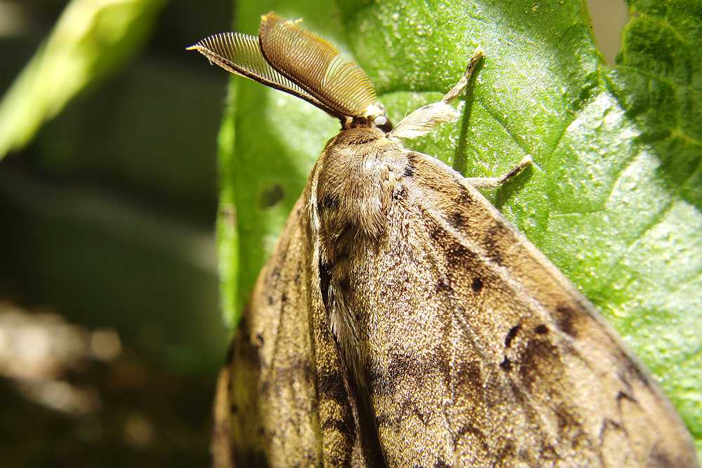a0152692_18451843.jpg