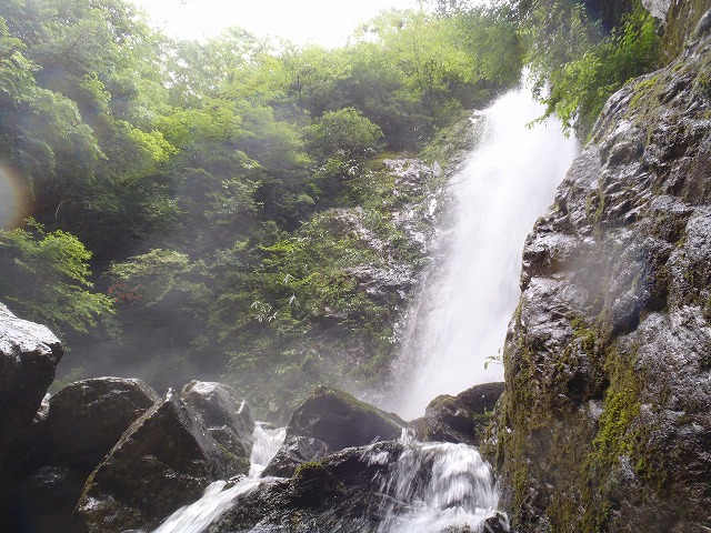 c0147398_1610546.jpg
