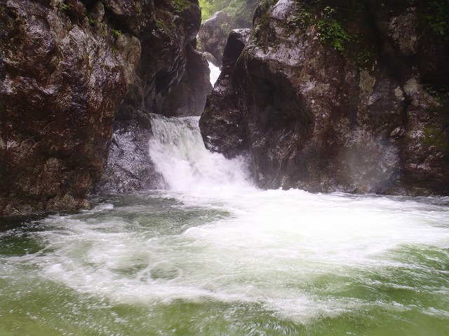c0147398_1611112.jpg