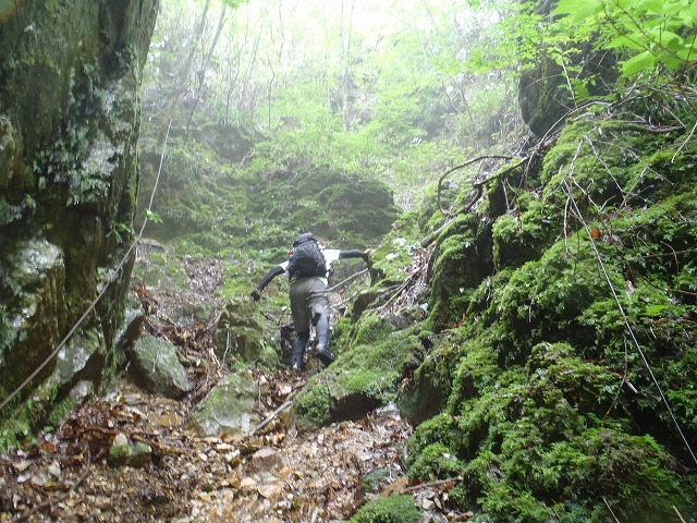 c0147398_16113643.jpg