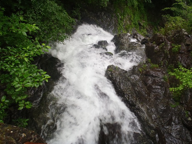 c0147398_1673562.jpg