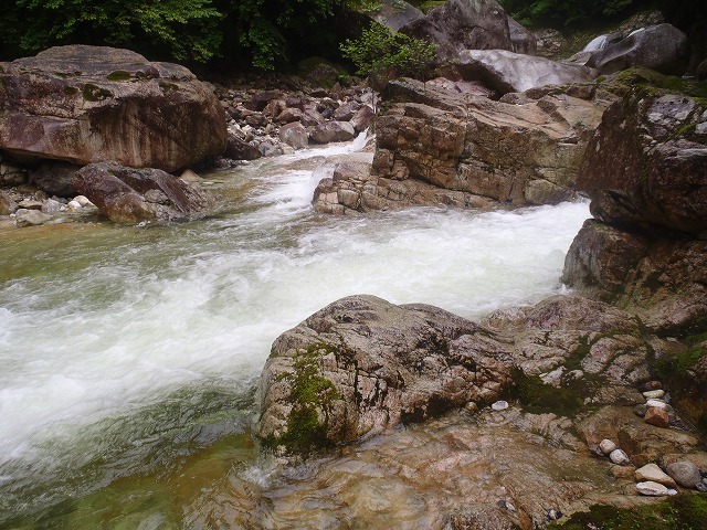 c0147398_1685124.jpg