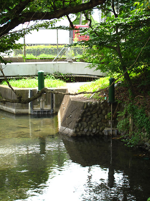 c0163001_0184858.jpg