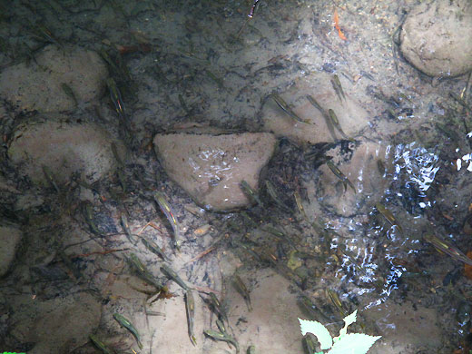 c0163001_0192176.jpg