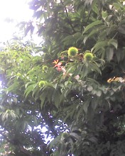 c0164401_217430.jpg