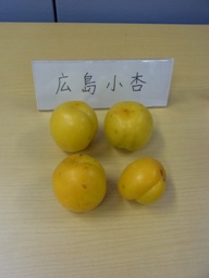 e0145301_21335797.jpg