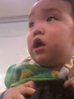 a0165203_18425295.jpg