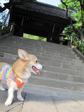c0126703_16524825.jpg