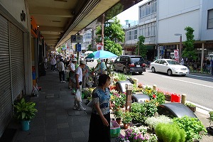 アーケード名店街ついたち市_d0050503_13255945.jpg
