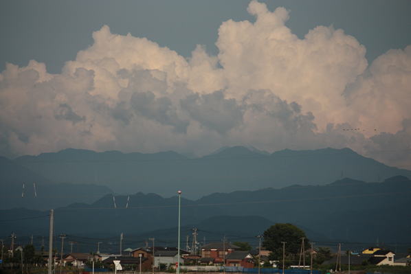 d0001008_19202575.jpg