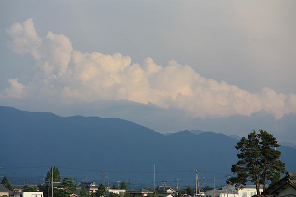d0001008_1921169.jpg