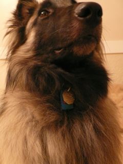 f0227709_1591627.jpg