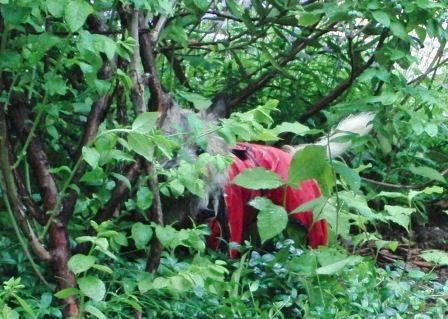 e0078510_23595945.jpg