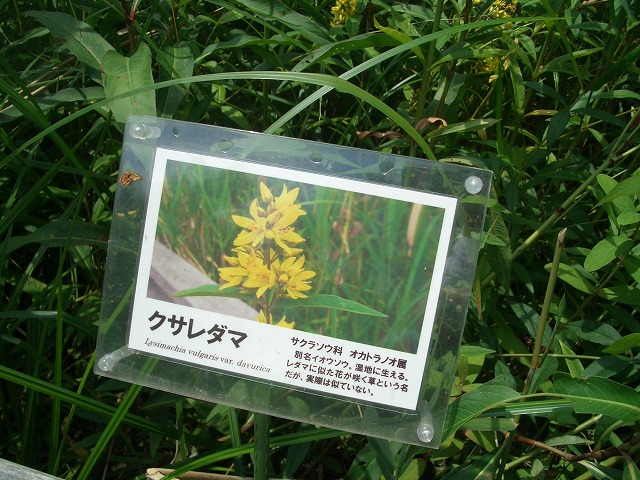 注目の「浮島ヶ原自然公園」を新人議員7名で視察!_f0141310_23322183.jpg