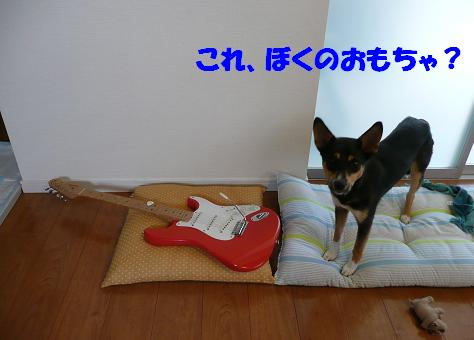 f0121712_15512723.jpg