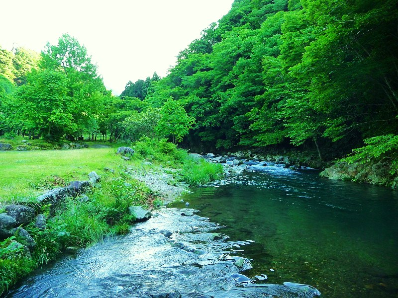 ７月１７日、水恋鳥広場オープン_f0182513_23164576.jpg