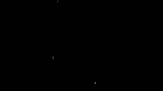 f0233414_8463868.jpg