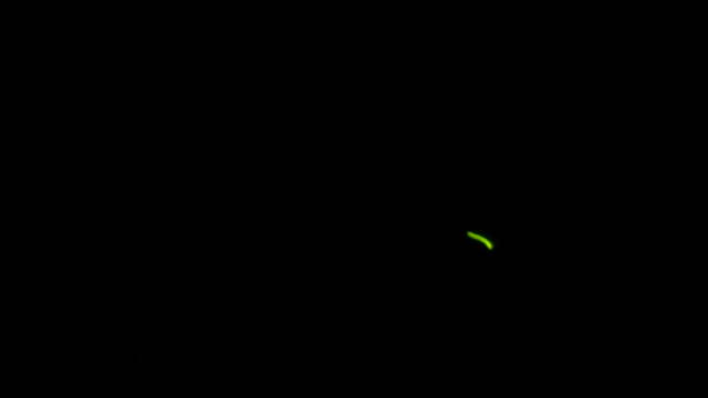 f0233414_8492711.jpg
