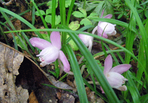 f0232920_13131239.gif