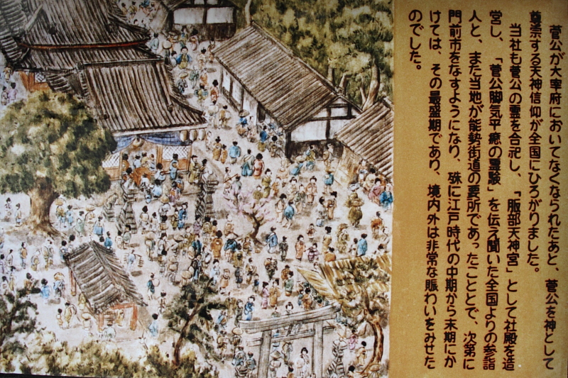 f0031423_20254222.jpg