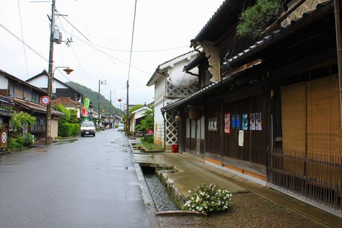 ジャイアンツ田んぼ～因幡街道へ_a0045932_8501781.jpg