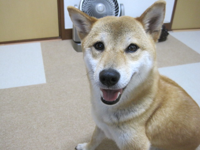 b0167733_1317860.jpg