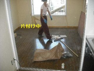 片付けと再確認_f0031037_19225114.jpg