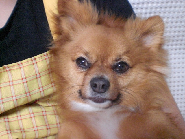 d0169340_03853.jpg