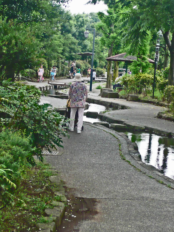 見沼代親水公園界隈_c0192843_14423345.jpg