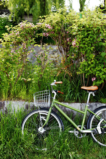 京都の3か月：　2010年春_d0008146_5636.jpg