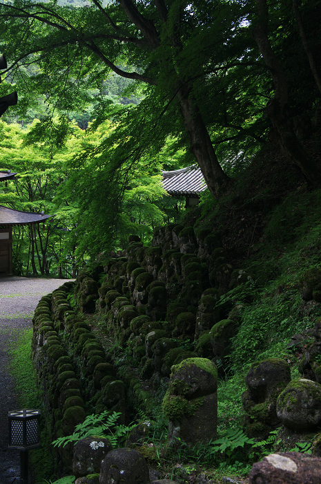 奥嵯峨野～愛宕念仏寺へ_f0155048_0254255.jpg