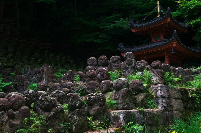 奥嵯峨野～愛宕念仏寺へ_f0155048_0305731.jpg