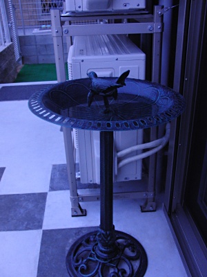 c0117150_20383416.jpg