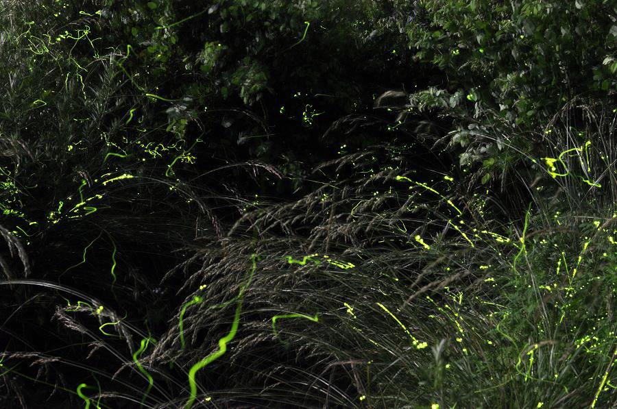 c0059854_2024347.jpg