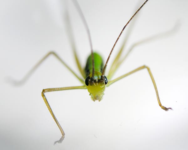 e0035757_23213072.jpg