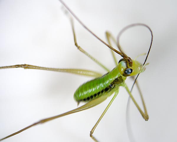 e0035757_23215820.jpg